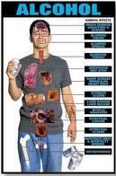 How Many Percent Alcohal In Ur Body