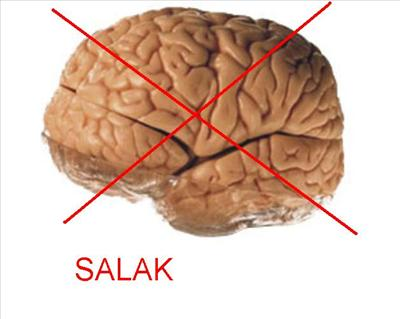 Salakmsın? Salak Değilmisin?