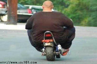 Are You Fat?