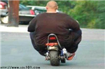 Are You Fat?