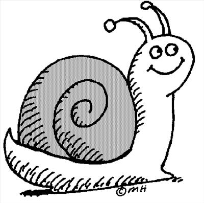 Snail Or Slug?