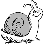Snail Or Slug?