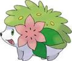 What Shaymin Are You?