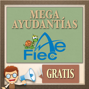 Mega-Ayudantías Aefiec
