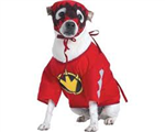 Ninja'mı Ninja Köpek'mi