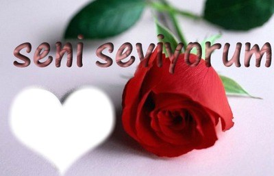 Beni nekadar çok seviyon