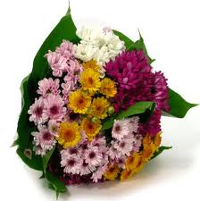 las flores son tan hermosas como