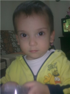 İnsanmsın Yoksa Hayvanmı