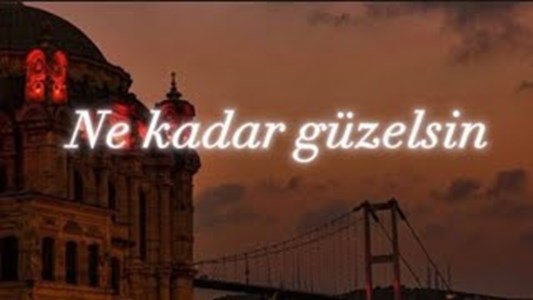 Ne kadar güzelsin?