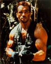 Your Favorite Action Star