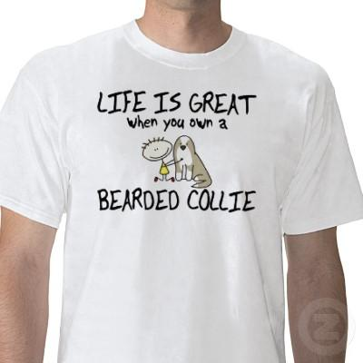 Are You Enjoying Life?