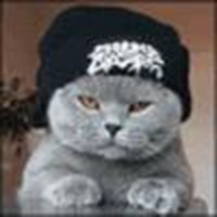 Kuis Arnes   