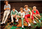 1D En İyi Kim ?