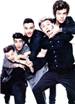 Gerçek Directioner Mısın?