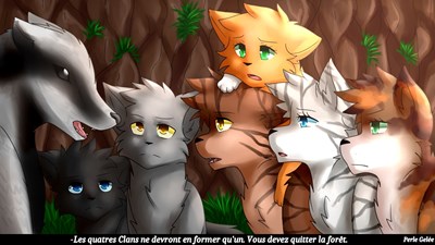 Le Quel Des 6 Élu Du Cycle 2 Est Tu ?