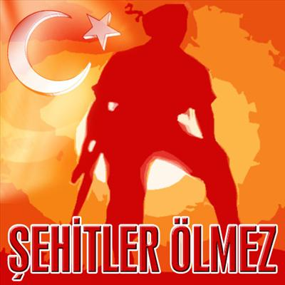 Ne Kadar Sevion