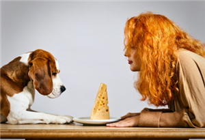 Ce Animal Ti Se Potriveste?