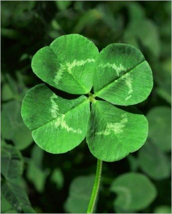Are You Lucky Or Unlucky Today?)
