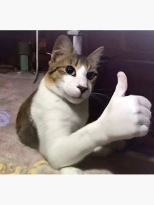 Survei Buat Kalian Yang Lagi Cari Game