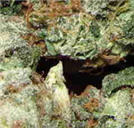 Get High