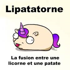 Est Tu Une Vrai Licornee