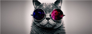 ¿Eres Mas Perro O Gato?