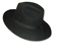 Shidduch Resume
