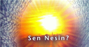 Sen Nesin ?