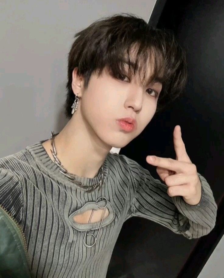 Hangi stray kids shipisiniz?