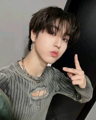 Hangi stray kids shipisiniz?