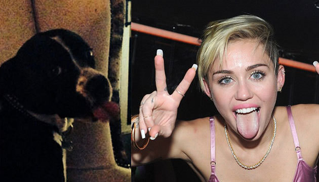 Miley Cyrus'a Benziyormusun ?