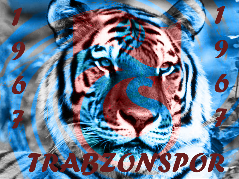 Trabzonsporda Hangi Futbolcusun 