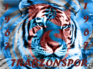 Trabzonsporda Hangi Futbolcusun 