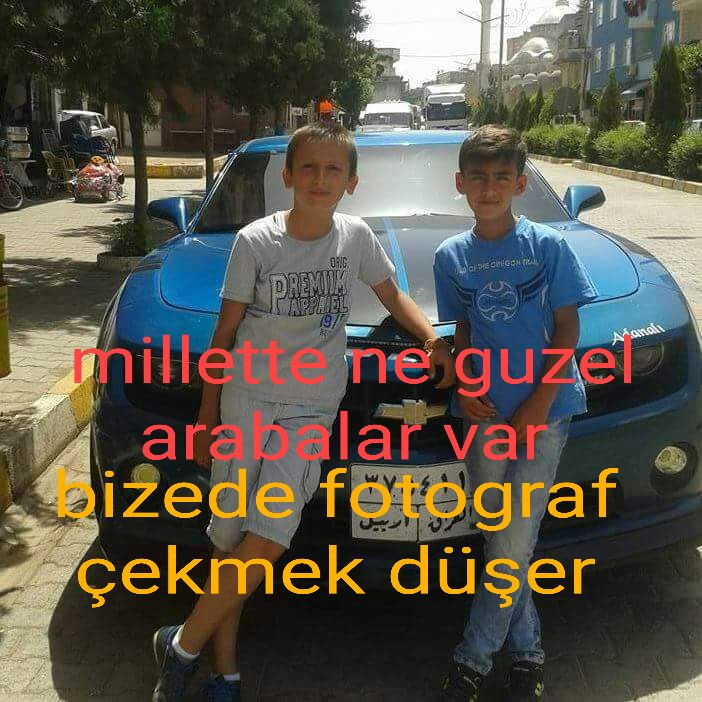 Hangi Arabasın