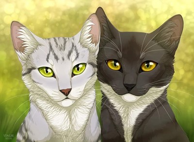 Quelle élu du cycle 2 est tu?????🐱🐈🐱🐈🐱🐈