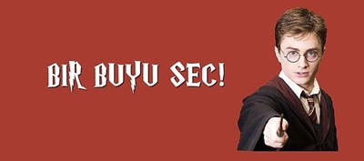 Hangi Harry Potter Karakterisin