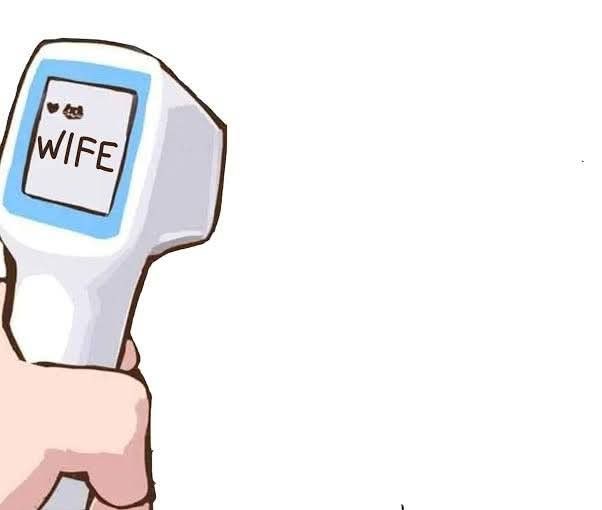 Pencari Waifu/husband