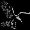 Kartal İsmail Can Köse