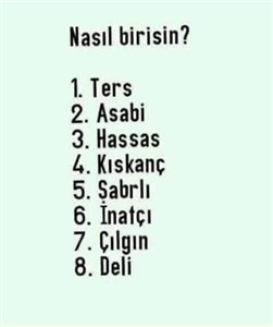 Nasıl Birisin?