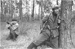 What Type Of Soldier Are You?