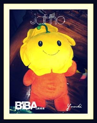 Are A Biba?