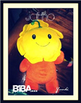 Are A Biba?