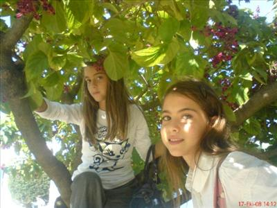Albayniyazide Hangi 6/A Öğrencisisin