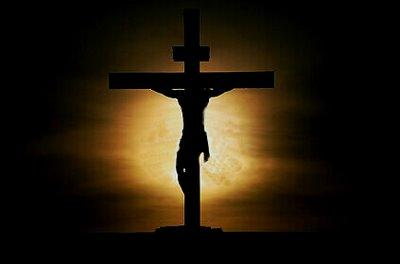 Jesus Poll