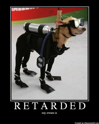 How Retarded Are You?