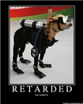 How Retarded Are You?