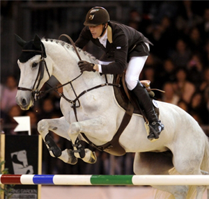 Quel Niveau As-Tu En Équitation?