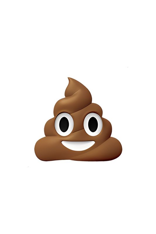 💩