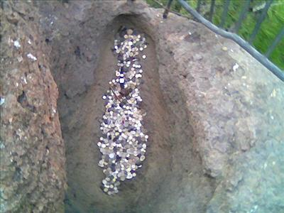 Bugun Melek Misin Şeytanmı