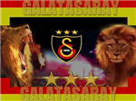 Şampiyon Kim